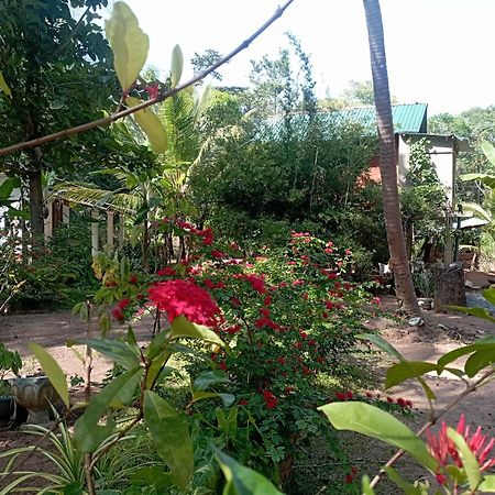 Sanjana Home Stay Habarana Exteriör bild