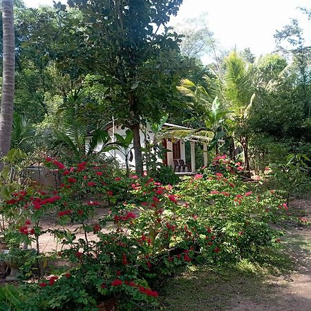 Sanjana Home Stay Habarana Exteriör bild