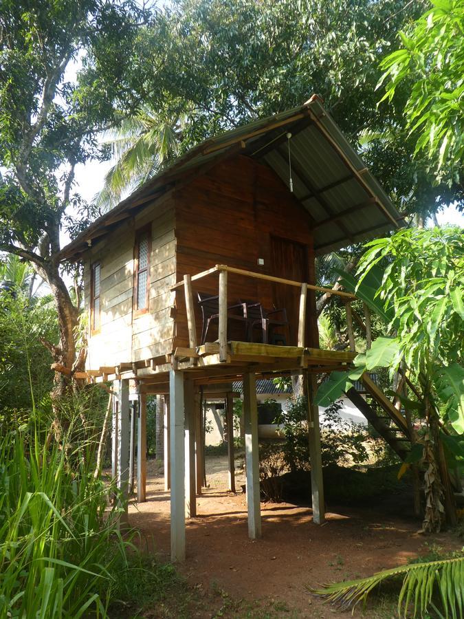 Sanjana Home Stay Habarana Exteriör bild